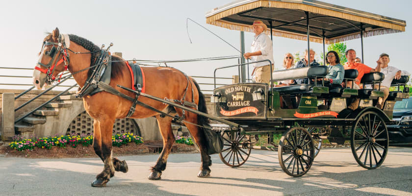 Tours & Attractions in Charleston, SC | Things to Do & See