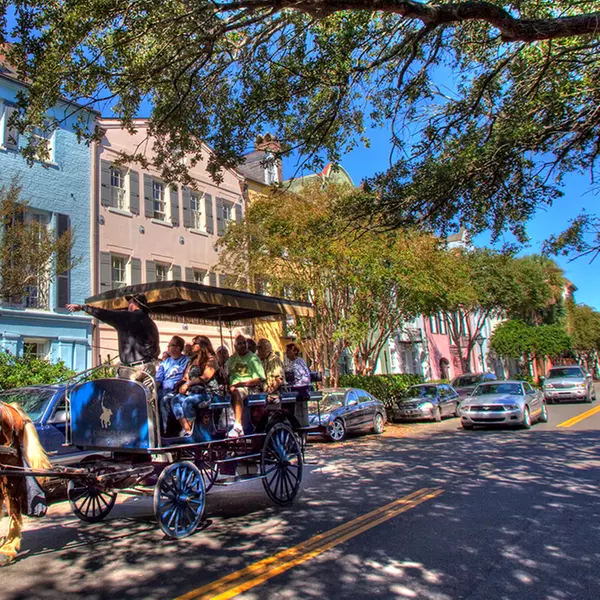 Carolina Polo and Carriage Company - From $40.50 - Charleston | Groupon